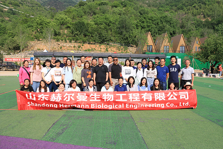 2021 赫尔曼营销团队团建 | 龙门山户外扩展运动