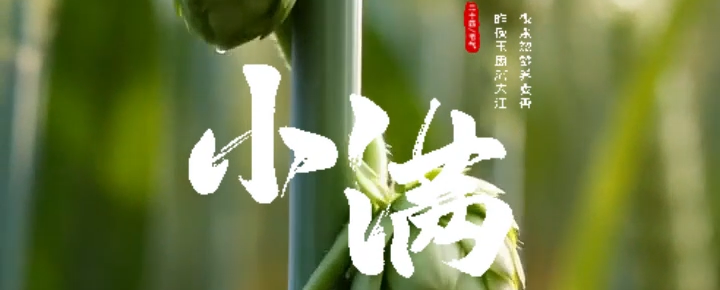 小满蓄势，笃行不怠