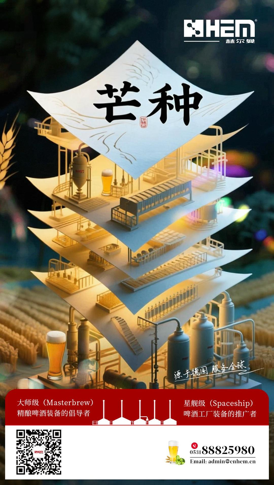 【芒种・麦香正浓时】